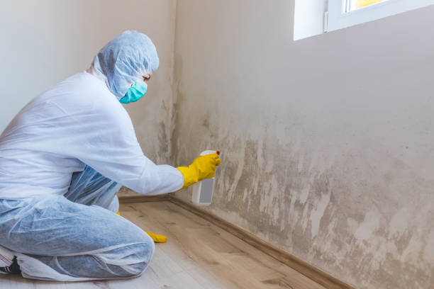 Licensed Mold Testing service in Toms River, NJ - WQB Mold Removal