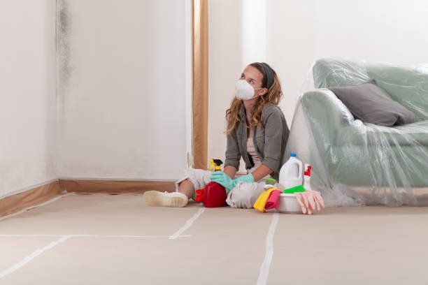Reliable Mold Testing contractor in Toms River, NJ by WQB Mold Removal